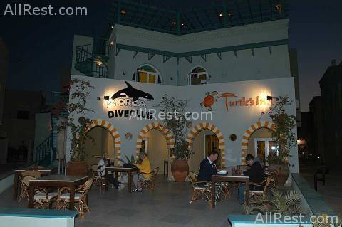 Turtles Inn Dive Club & Hotel 20